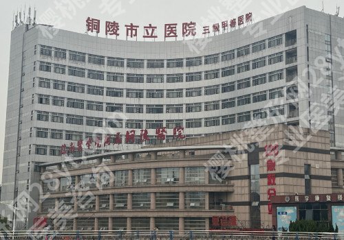 铜陵种植牙多少钱一颗？市人民医院/市立医院等院低至6000元起