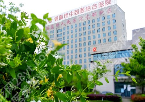 铜陵种植牙多少钱一颗？市人民医院/市立医院等院低至6000元起