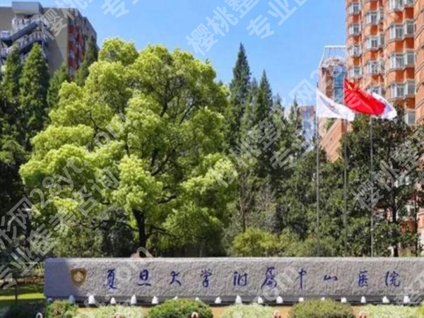 上海三甲整形排行榜前十如何？实力医院名单更新