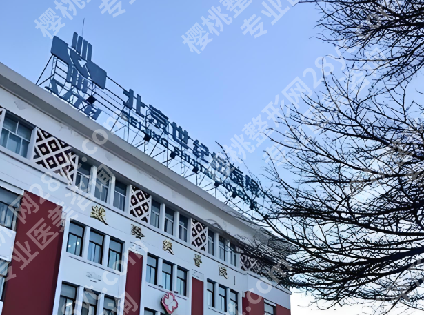 世纪坛医院整形外科怎么样？医生团队与项目全攻略