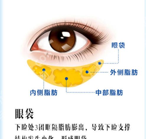 赵志伟医生做隆胸多少钱?特惠整形价格表提前曝光!