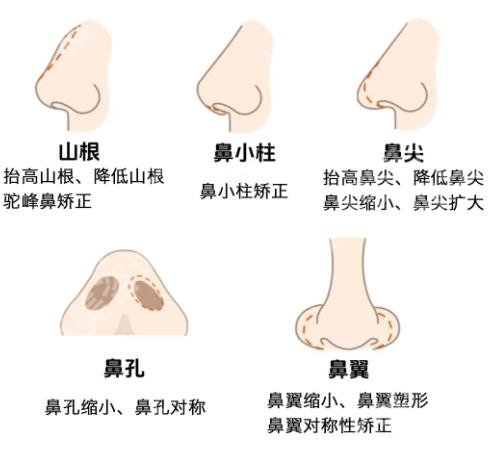 薛克墘医生在海峡多少年了？医生简介及坐诊医院详情曝光！