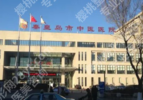 秦皇岛激光祛斑哪家好？市第一医院、巧致等技术测评，附价格表
