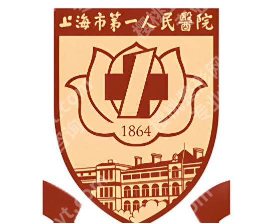 上海第一人民医院去眼袋要多少钱?价格明细及项目详情一览揭秘