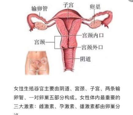 杭州紧缩针三甲医院排名榜单揭晓！浙大二院、浙大一院都是实力派！