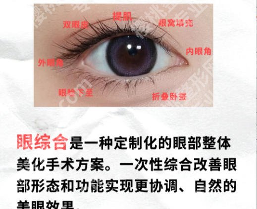 青岛眼修复专家名单揭示！王志国、董子迎等医生实力上榜！