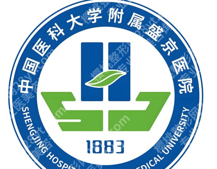 沈阳延长手术正规医院有哪些?热门医院名单揭晓