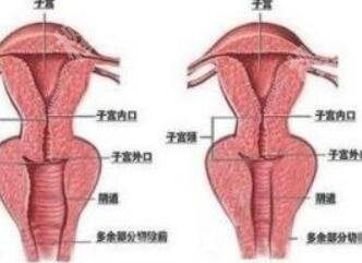 广州adm紧缩针哪里可以打？南方医院、广州丽合通通上榜！