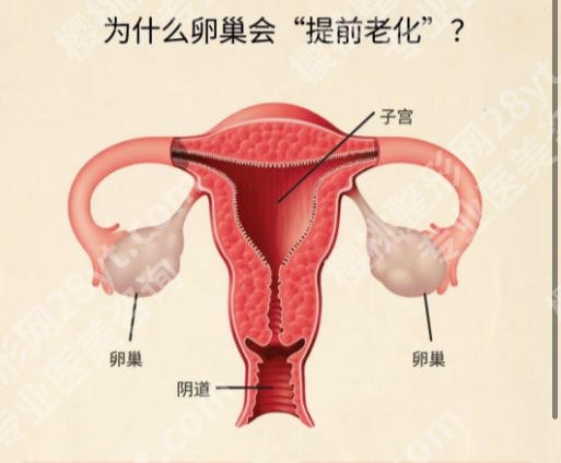 南通紧缩针多少钱一支哪里可以打?TOP5医院名单严选
