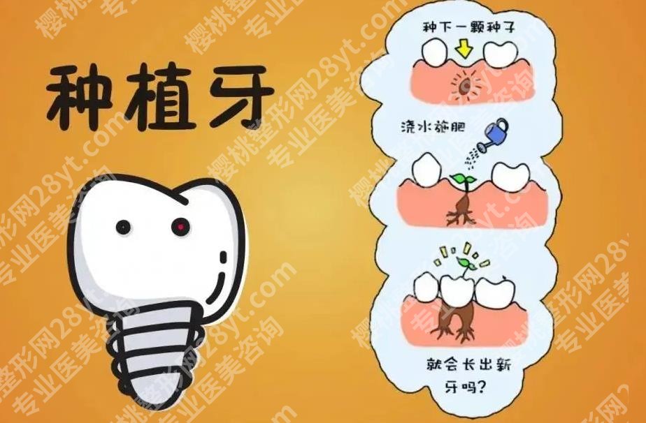 重庆西南医院种植牙多少钱一颗？国产5500-7200/颗|2026价格参考