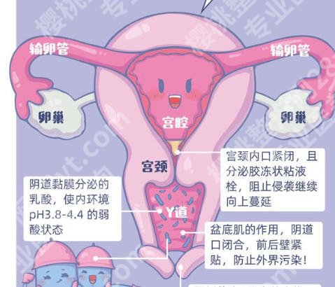 佛山adm紧缩针哪里可以打？佛山正规机构筛选！拒绝黑诊所
