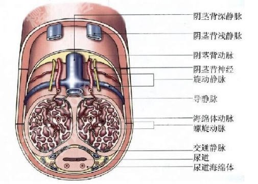 石家庄延长手术医院排名揭晓！前四口碑医院出炉了