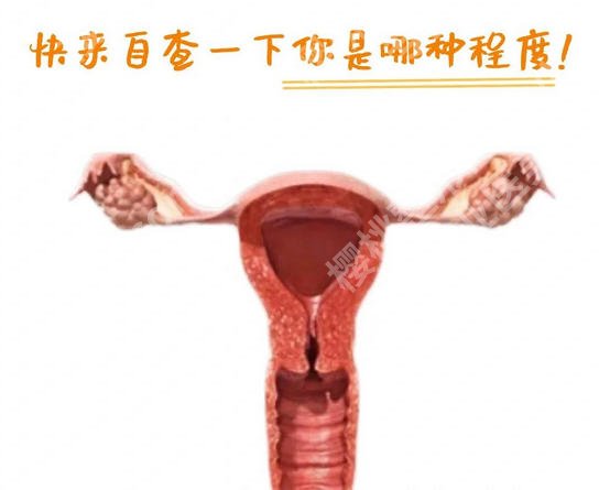 北京做紧缩术费用需要多少？2026价目表更新！速速收藏再看
