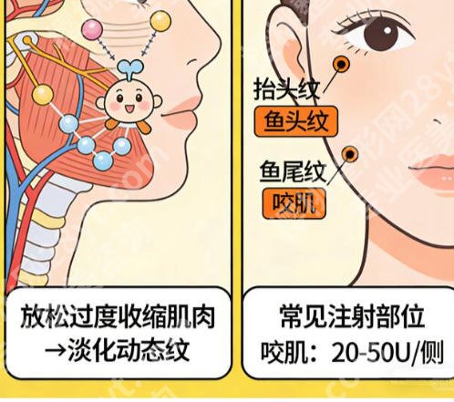 重庆第四人民医院美容科手术价格表揭晓！科室信息与价格费用大公开