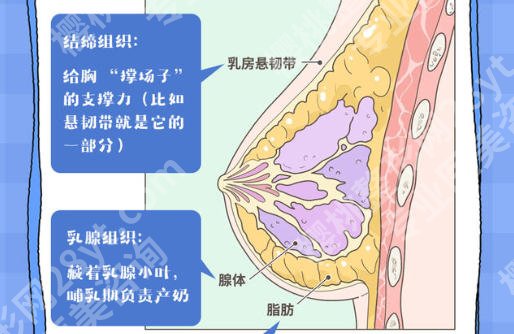 上海八院隆胸怎么样？实地体验后说说真实感受与细节