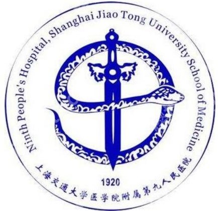上海第九整形美容医院隆鼻值得关注什么？从材料到鼻型设计一篇讲透