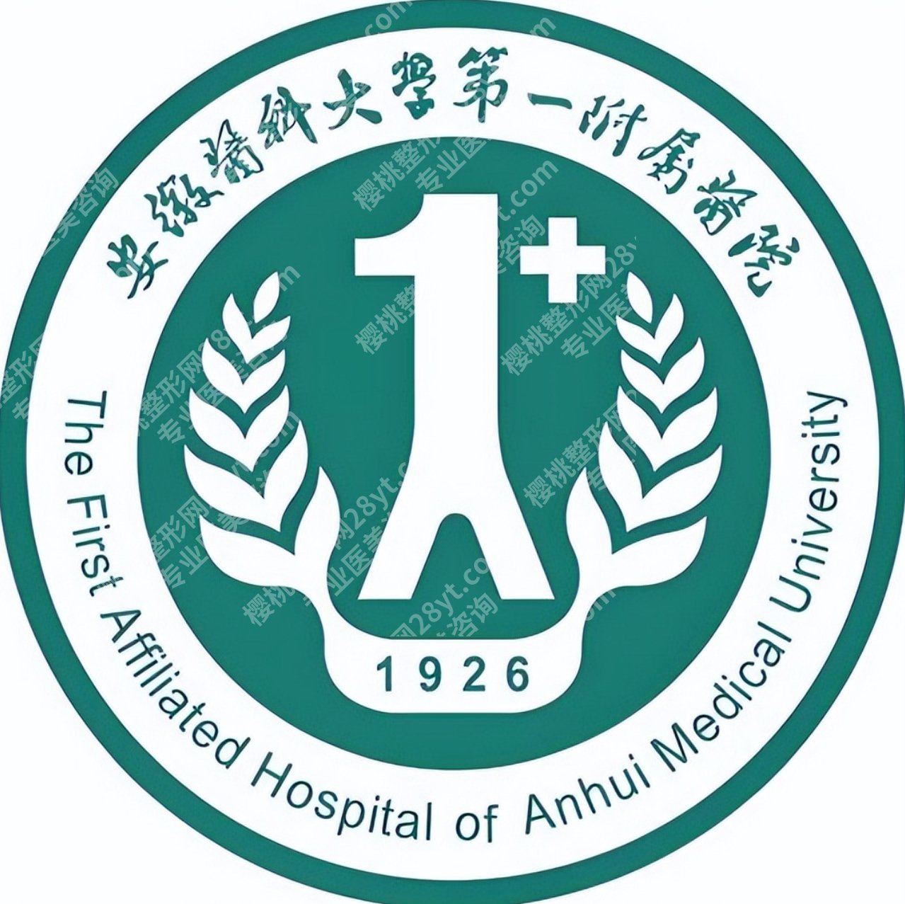 安徽医科大学第一附属医院整形科2026介绍，医生和项目情况集中梳理